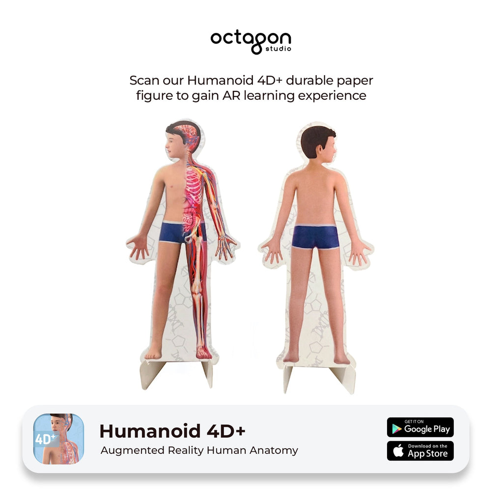 Humanoid 4D+ Augmented Reality Cards